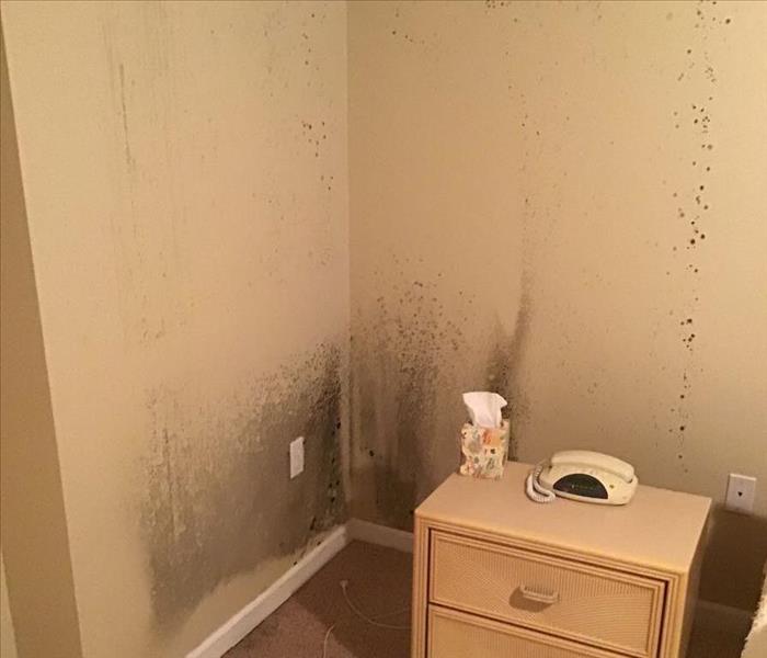 Mold forming in a bedroom of a home