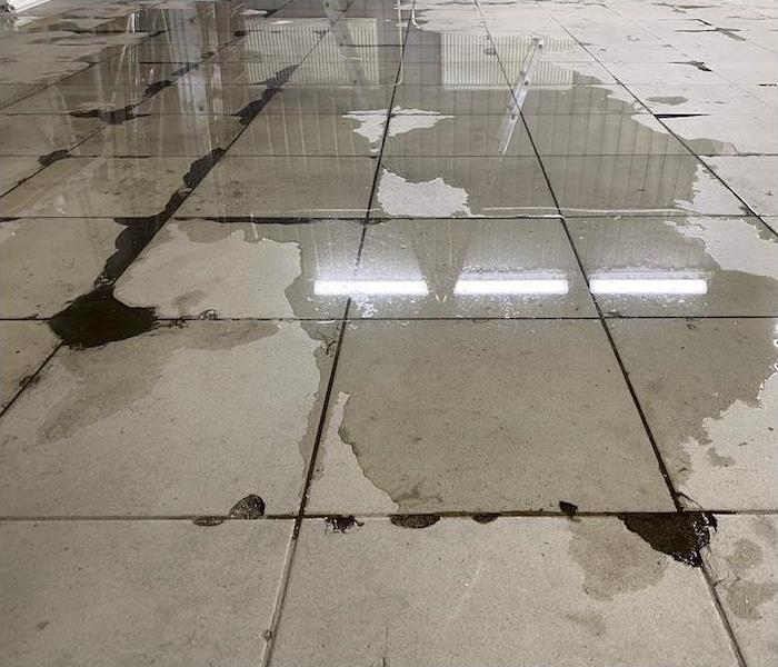 concrete floor tiling with large cracks and water on it